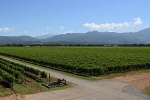 Plantaže prodaju zemljište za 12 miliona eura