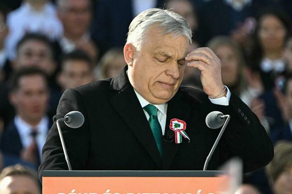 Viktor Orban, Foto: AFP via Getty Images