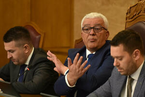 Mandićeva plata najveća: Skupština nakon nekoliko mjeseci objavila...