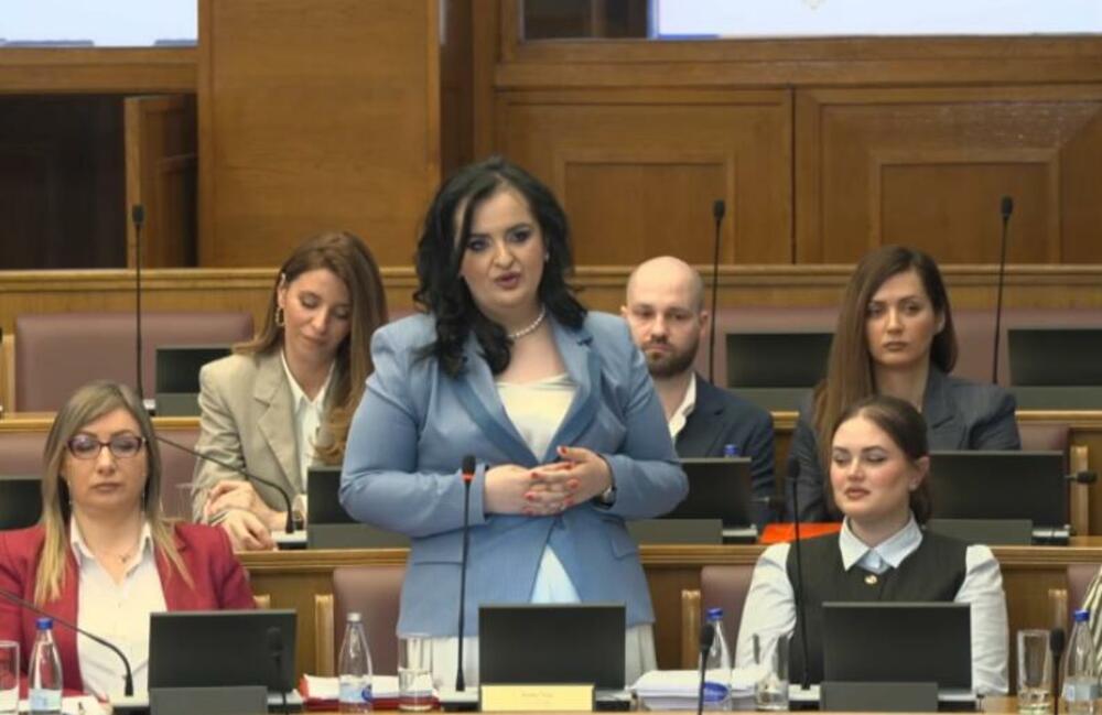 Nišić: Povećanje roditeljskog odsustva na 14 mjeseci pozitivna...