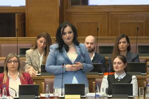 Nišić: Povećanje roditeljskog odsustva na 14 mjeseci pozitivna...