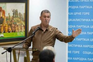 Peruničić: Zelenika mora biti prepoznata kao prioritet u planovima...