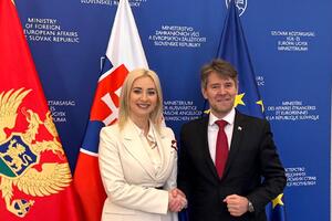 Gorčević: Posvećeni cilju da pristupne pregovore završimo do kraja...