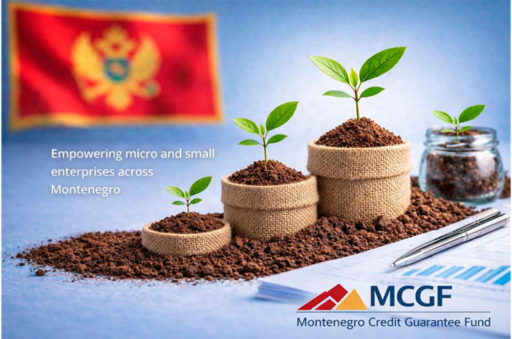 JAVNI POZIV za imenovanje izvršnog direktora Kreditno-garantnog...