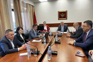 Razriješena Mirjana Popović