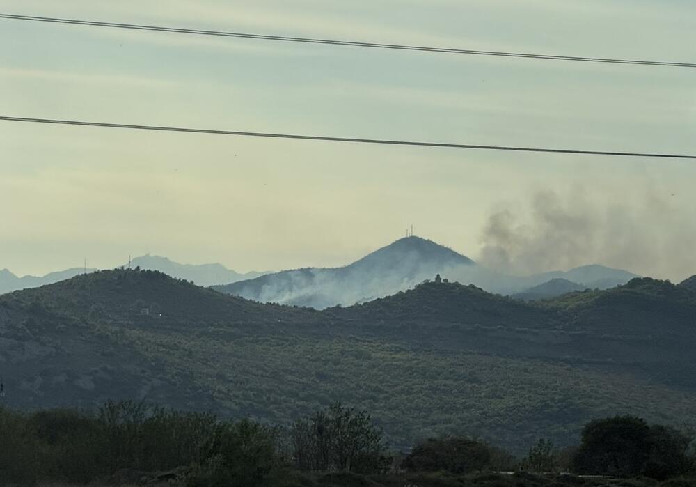 Šumski požar u Lješanskoj nahiji, vatra ne prijeti kućama