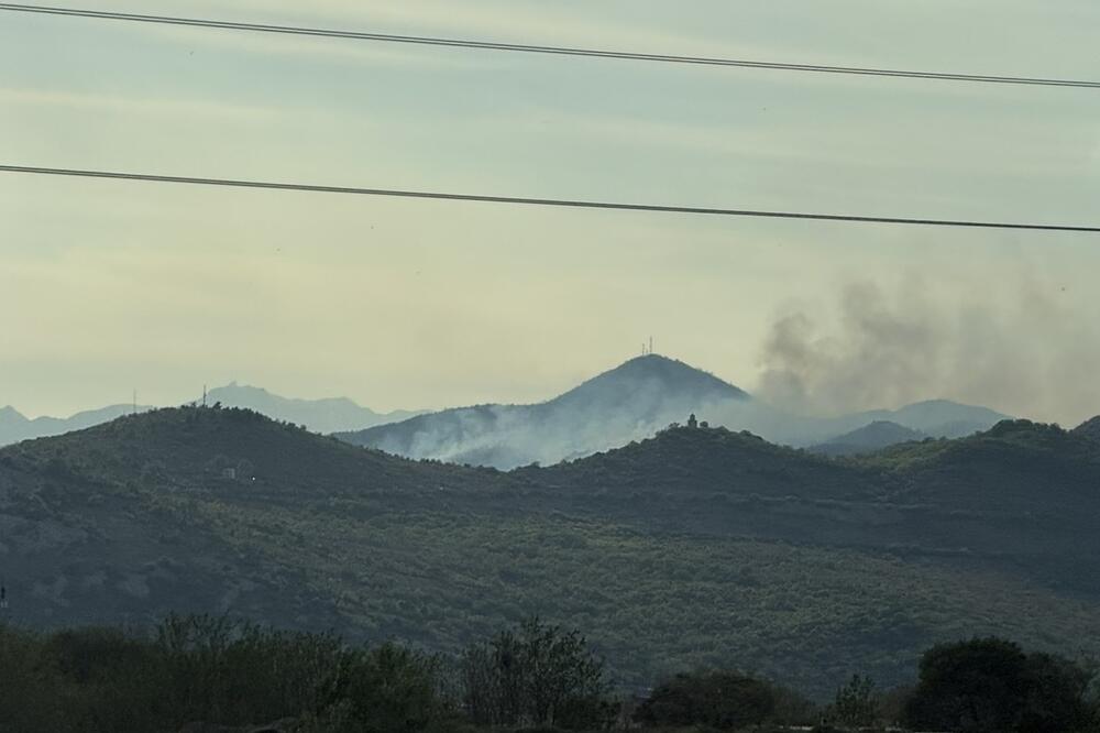 Foto: Privatna arhiva