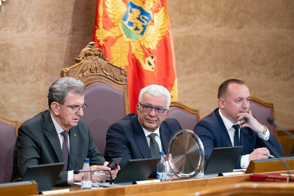 Ustav ne važi kad politika traži: "Zaboravili" na DIK - pismo...