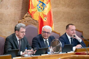 Ustav ne važi kad politika traži: "Zaboravili" na DIK - pismo...