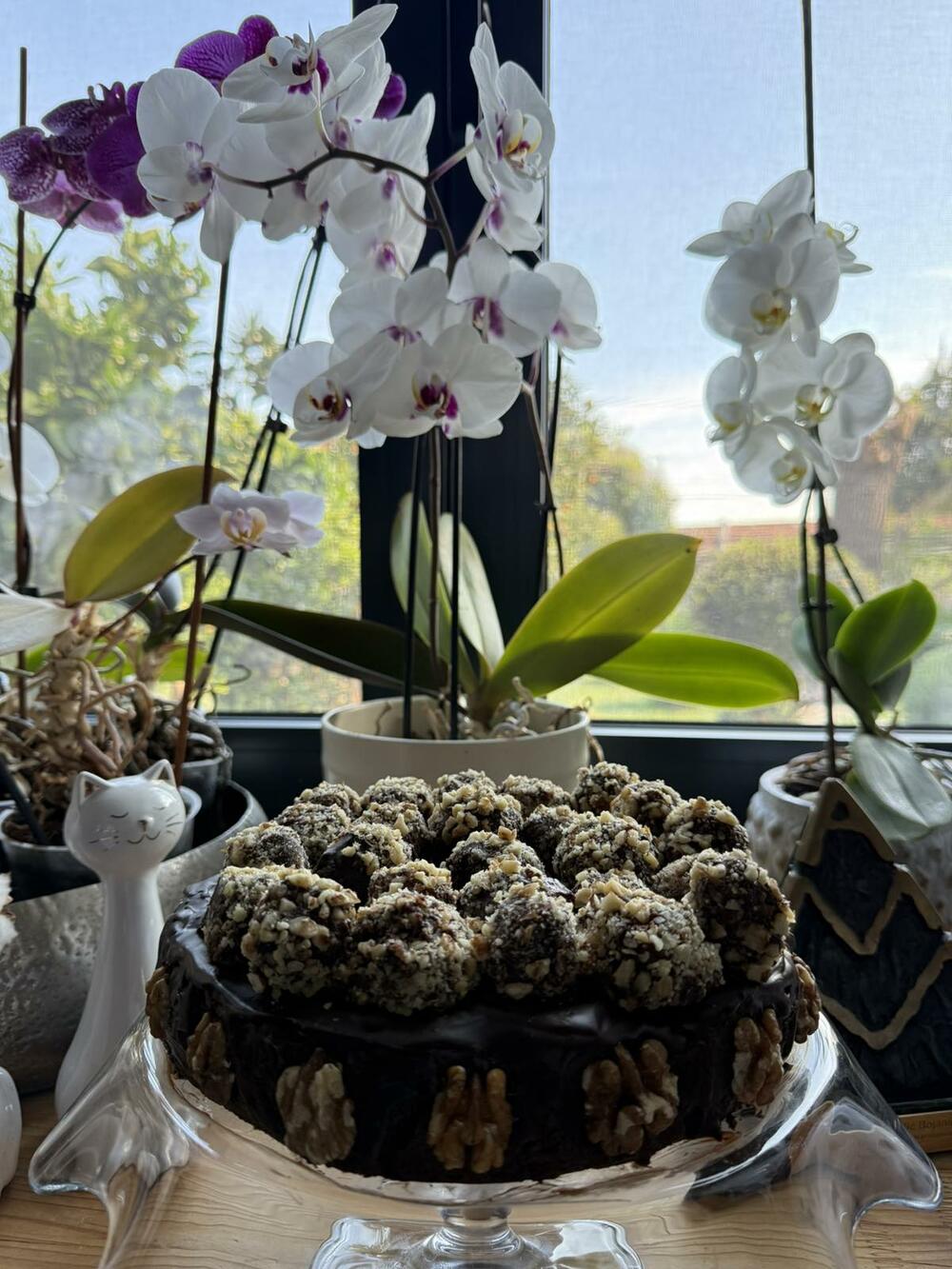 Čokoladna torta sa šljivama i rakijom, čokoladna torta sa šljivama i rakijom