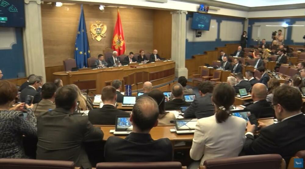 Sve tanja granica između žustre rasprave u Skupštini i potpunog...