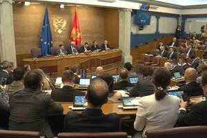 Sve tanja granica između žustre rasprave u Skupštini i potpunog...