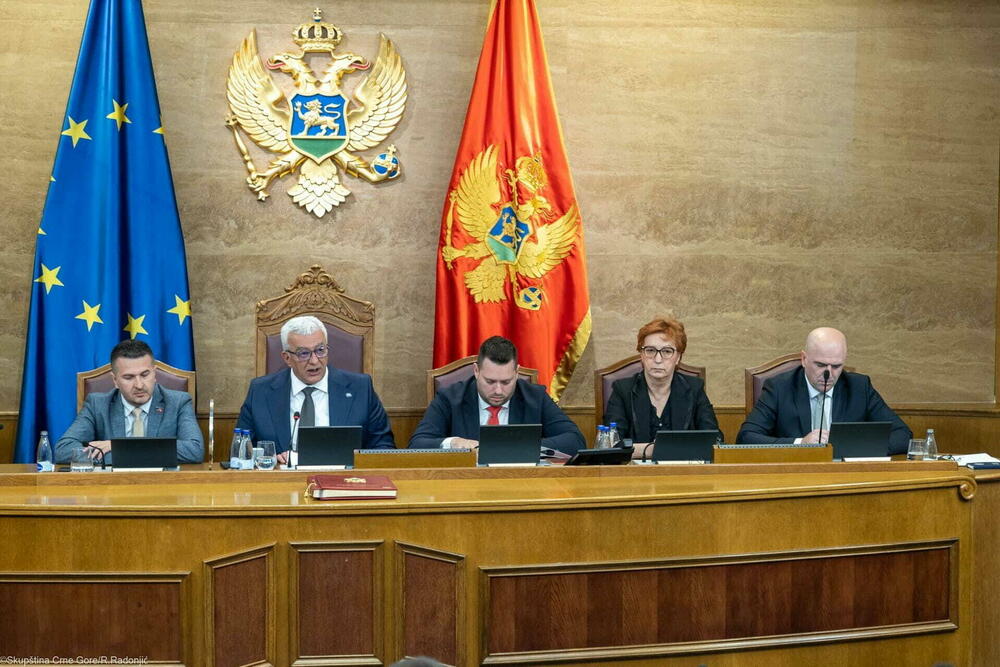 Camaj lider po prihodima, Mandić po nekretninama: Šta stoji u...