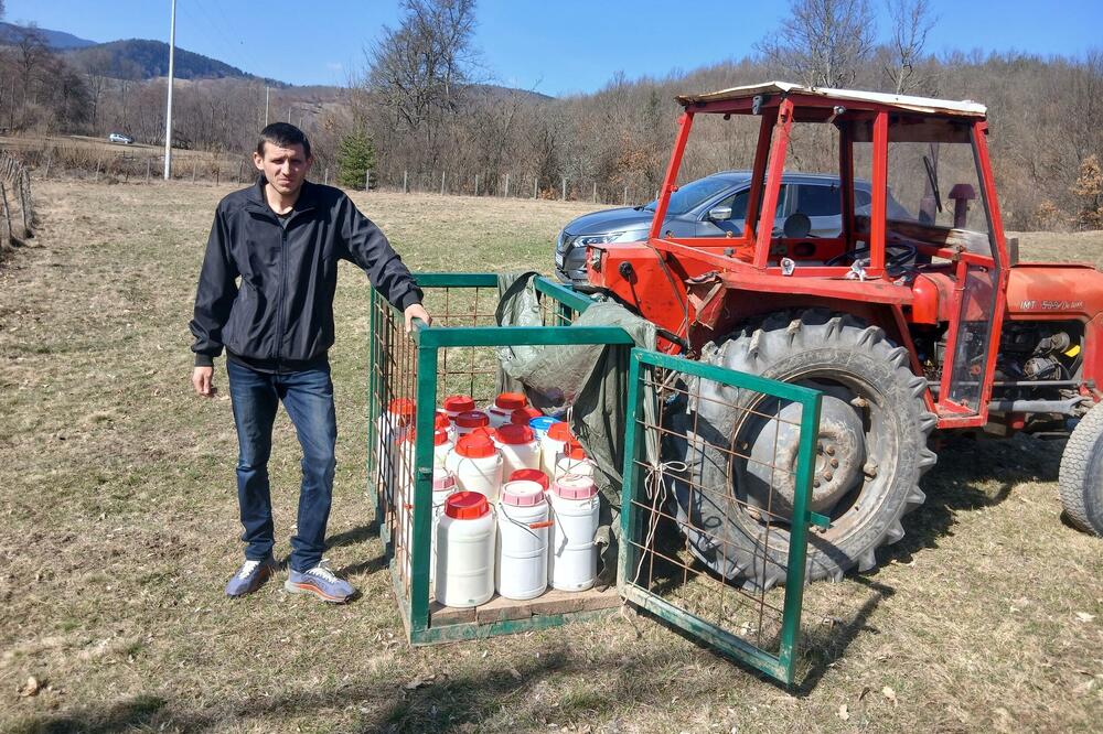 Mlijeko vozi traktorom: Šljivančanin, Foto: Goran Malidžan