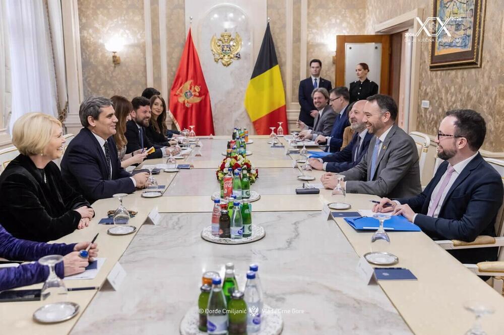 Maksim Prevo, Ervin Ibrahimović