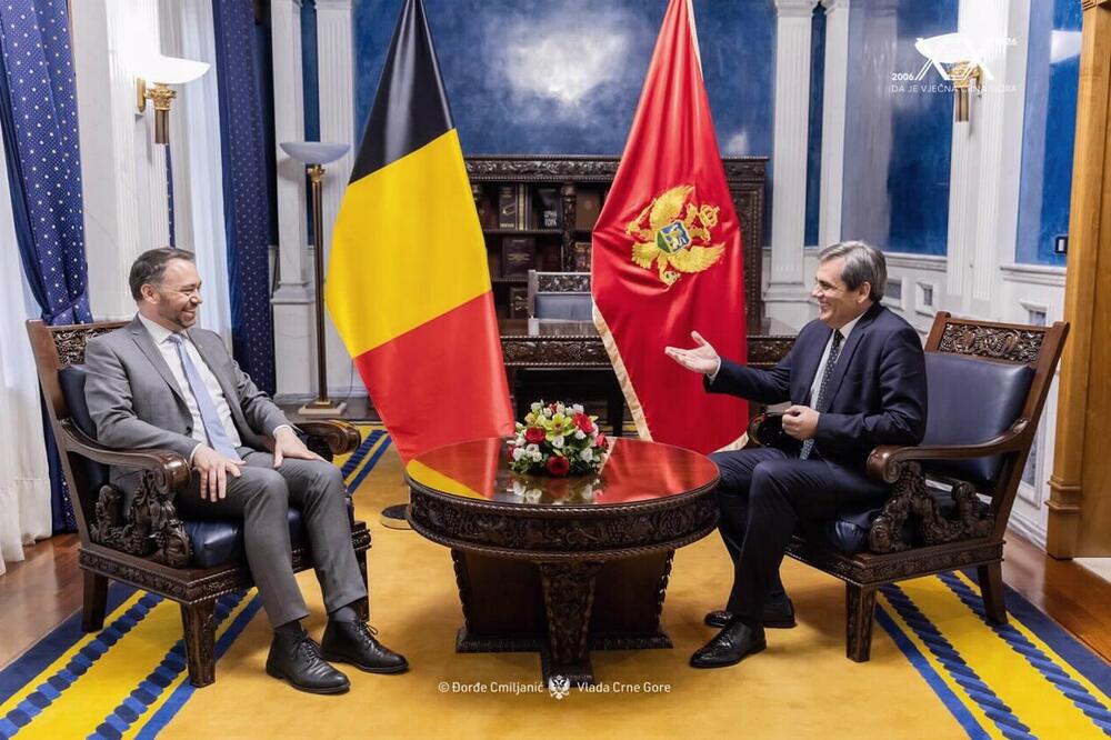 Maksim Prevo, Ervin Ibrahimović