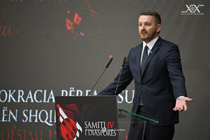 Dukaj: Dijaspora mora biti dio donošenja odluka