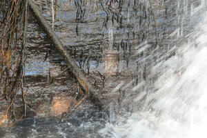 Hiljade sitnih riba prkosi gravitaciji penjući se uz vodopad u...