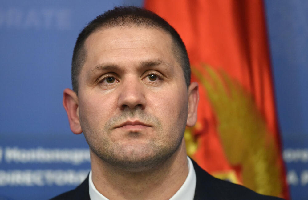 Šćepanović: U složenoj operaciji rasvijetljeno šest ubistava iz...