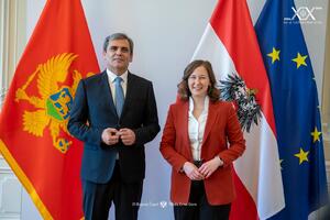 Majnl Rajzinger: EU potrebna uspješna priča o proširenju, Crna...