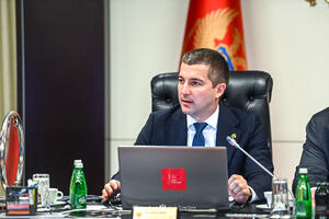 Bečić: Današnja akcija potvrda da je država odlučna da ide do...