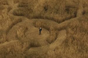 Spilberg najavljuje novi film o vanzemaljcima kao "više istinu...