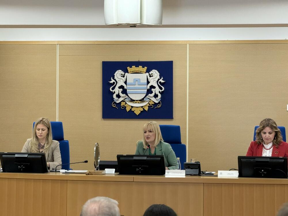 Borovinić Bojović: Kada inicijativa za moju smjenu dobije dovoljan...