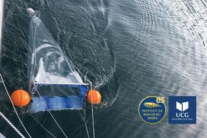 Institut za biologiju mora jača kapacitete za istraživanja...