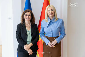 Gorčević: Politička podrška članica EU ključna za povjerenje u...