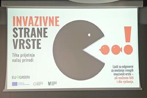 Šteta za prirodu, zdravlje, ekonomiju: Crna Gora ove godine...