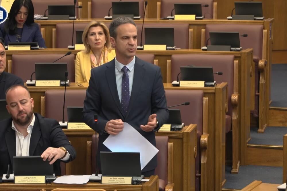 Boris Mugoša, Foto: Screenshot/Skupština Crne Gore