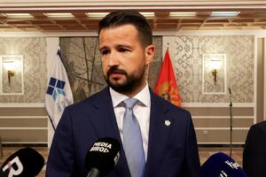 Milatović: U svakoj zemlji članici moramo da izlobiramo članstvo...