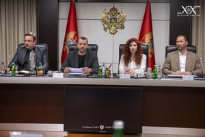 Koordinaciono tijelo: Izmijeniti Zakon o inspekcijskom nadzoru u...