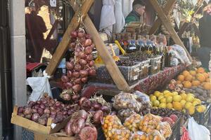 Olakšice korisne, ali treba još podrške: Nova odluka Opštine Bar o...