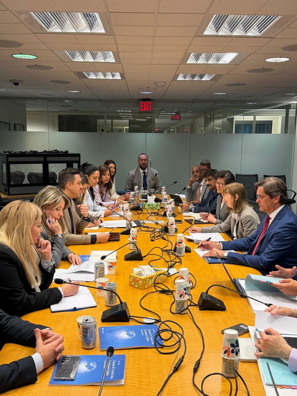 Novica Vuković, Irena Radović