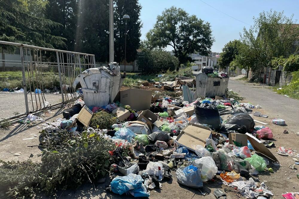 U komunalnom nerijetko i medicinski otpad (ilustracija), Foto: Jelena Kočanović