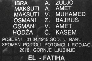 Potraga za uzrocima tragedije