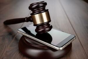 Intima samo kad je nužan dokaz: Gjokaj o zaštiti privatnosti u...