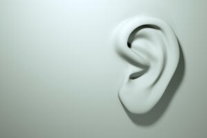 Dvije optužnice ne govore sve: VDT o rezultatima primjene mjera...