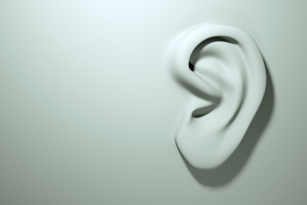 Partije prošle godine potrošile stotine hiljada eura na donacije, pomoći i sponzorstva, Foto: Shutterstock