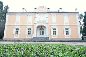 PES predložio nove izmjene zakona o dinastiji Petrović: Sad ne...