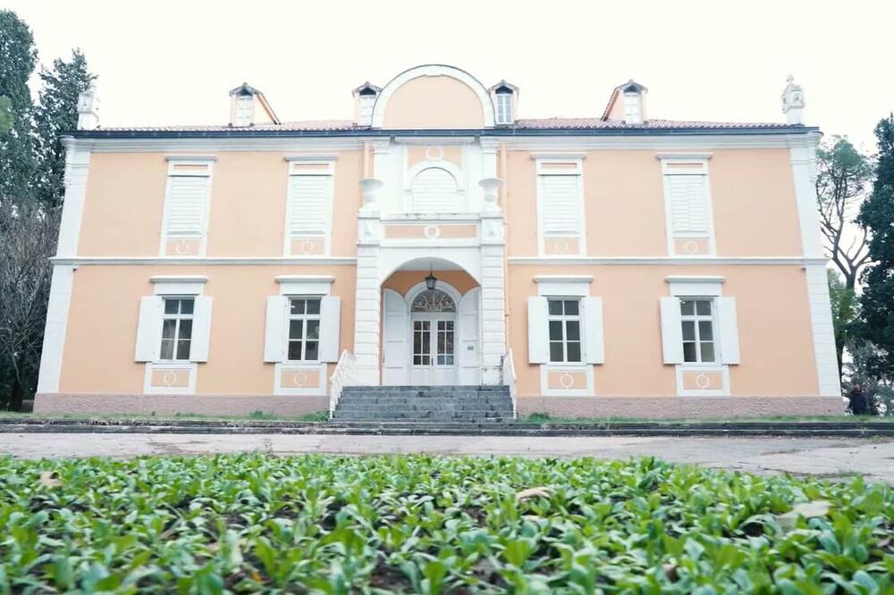 "Kruševac" bi pripao potomcima dinastije, Foto: Printscreen/Youtube