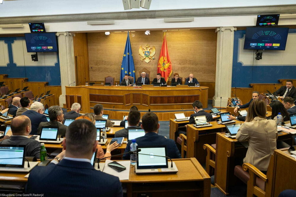 Najveći troškovi zabilježeni su u martu, kada je za prevoz, dnevnice i smještaj potrošeno 95.489 eura: Skupština, Foto: Skupstina