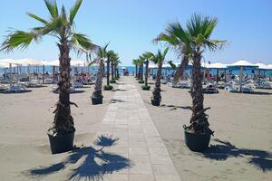 Škrelja: Alabar nije imao ozbiljne namjere