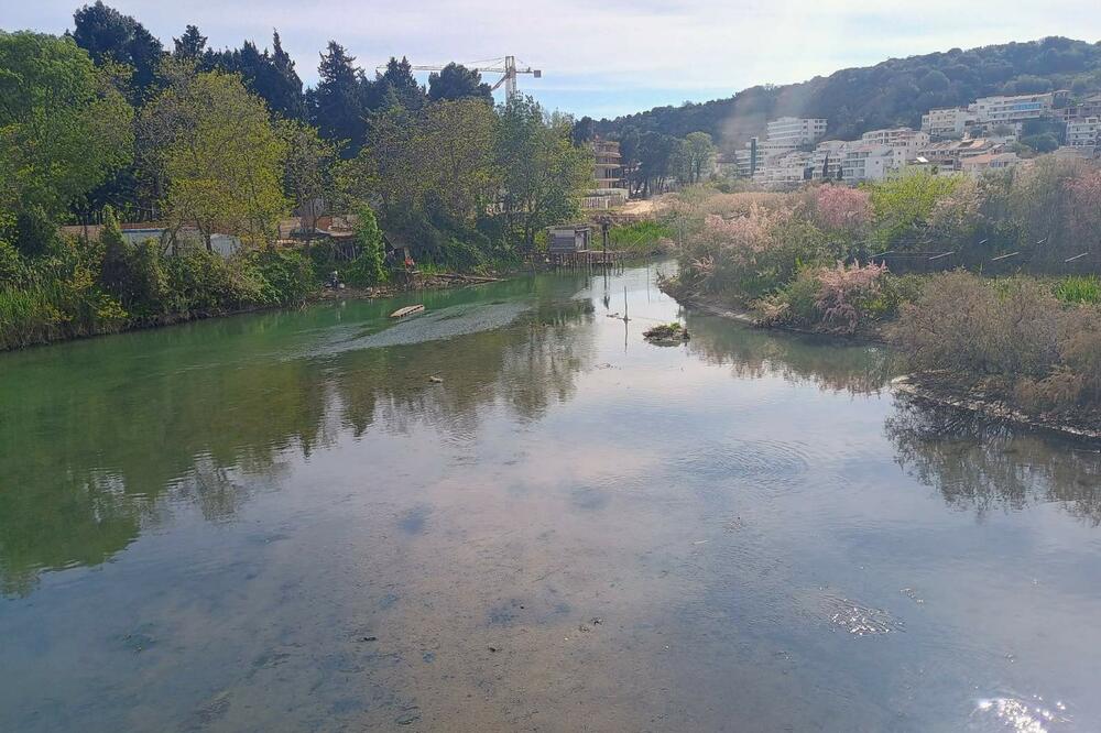 Čeka se rješenje: Port Milena, Foto: Samir Adrović
