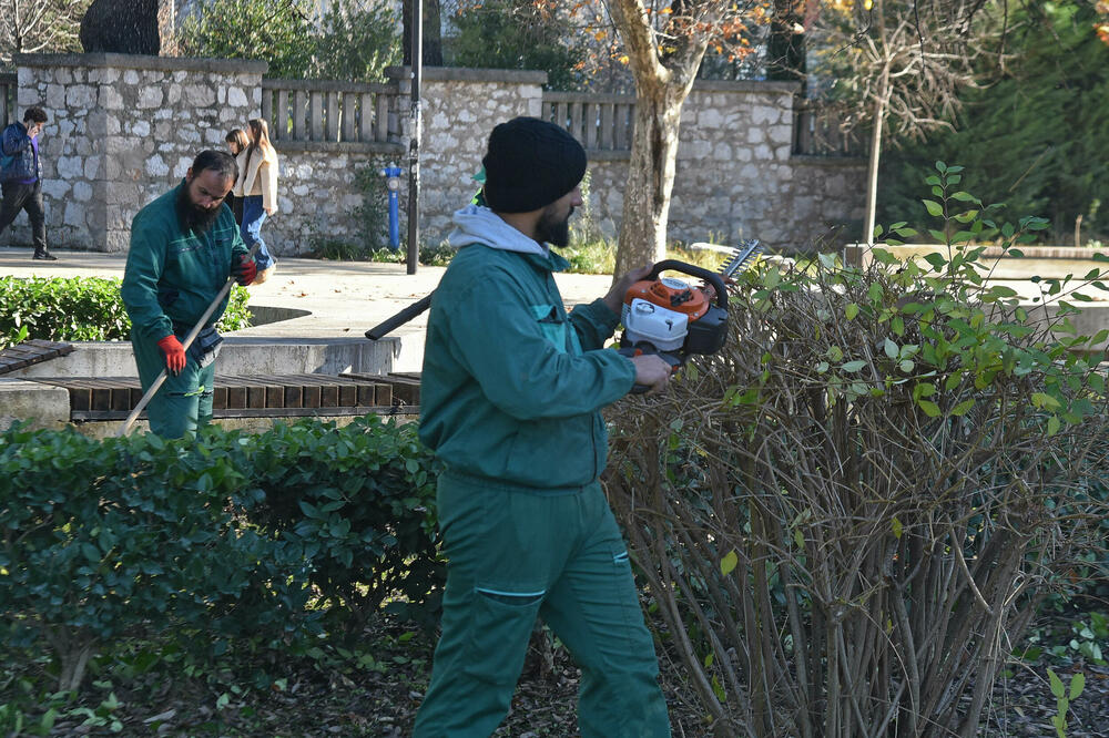 Zaposleni u &ldquo;Zelenila&rdquo; u akciji (ilustracija), Foto: Boris Pejović