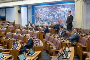 Završen pretres o izmjenama Zakona o šumama: Odgovornost za...