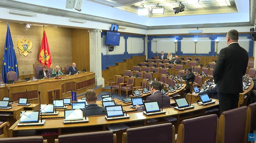 DPS neće podržati izmjene Ustava u dijelu koji se odnosi na...