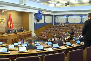 DPS neće podržati izmjene Ustava u dijelu koji se odnosi na...