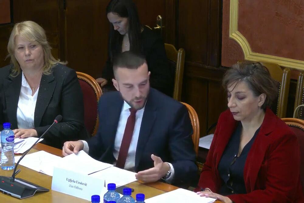 Prijemni kao filter: Urošević tokom jučerašnje sjednice Odbora, Foto: Youtube/Printscreen